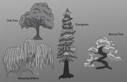 Tree Study