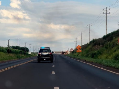 PF deflagra Operação Venatio I com o objetivo de reprimir abuso sexual infantojuvenil