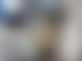 PF e BPFRON apreendem mais de 400kg de agrotóxicos