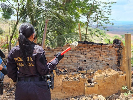 PF combate comercialização ilegal de madeira e prende três pessoas