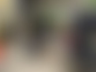 PF incinera mais de uma tonelada de drogas