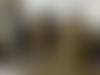 PF incinera aproximadamente 11,5 toneladas de drogas no PR