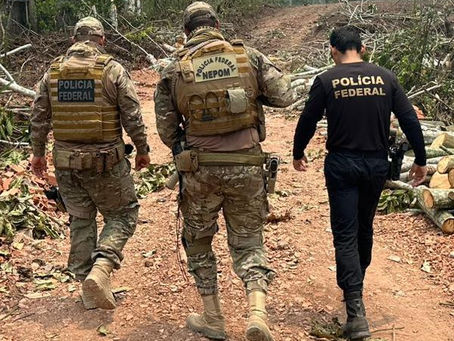 PF e PRF prendem em flagrante homem por transporte de madeira ilegal no AM