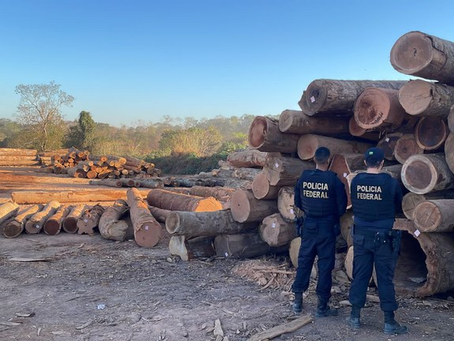 PF realiza operação para combater falsificação de documentos ambientais em sistemas oficiais do gov.