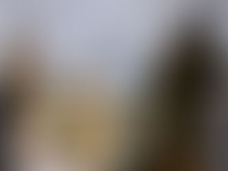 PF e BPFRON apreendem 842 kg de agrotóxicos contrabandeados