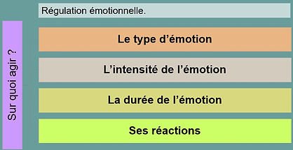 Comment-réguler-émotions-Frédérique-delrieu-psychologue.jpg