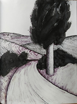 Road in the country farmlands