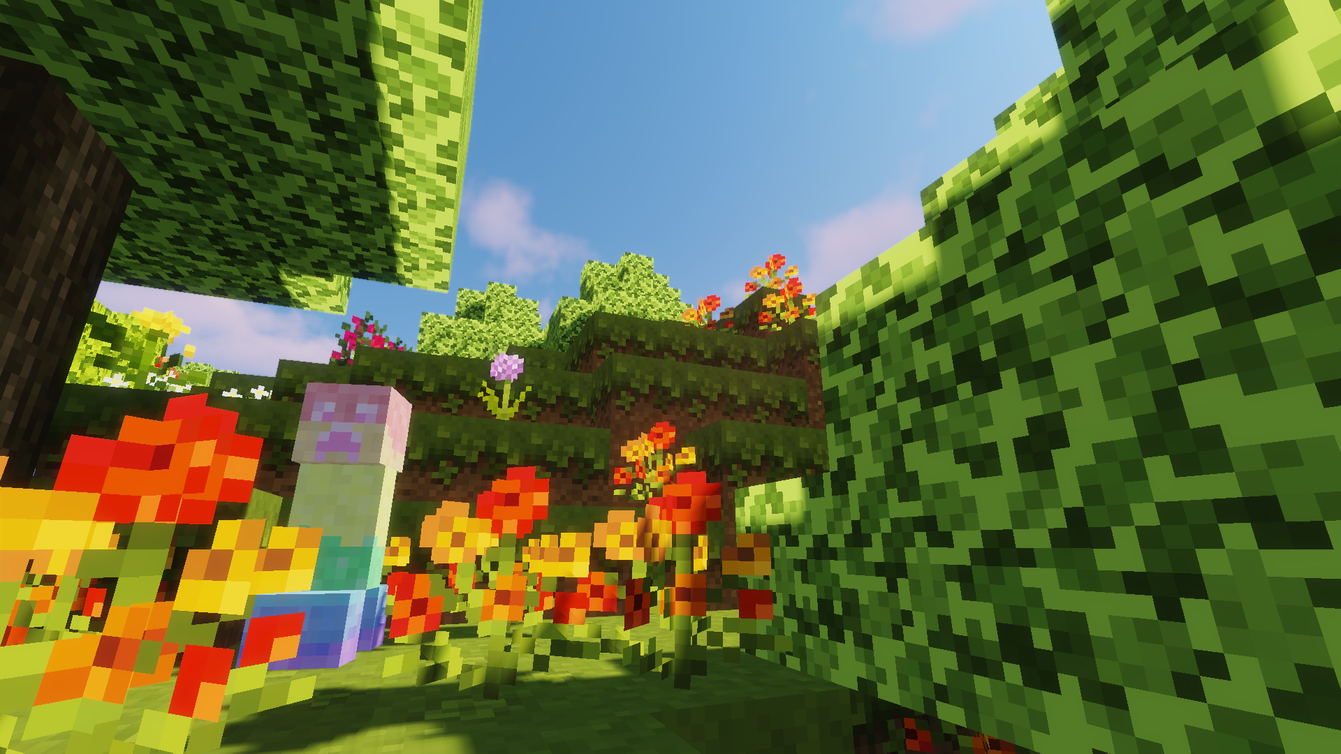 Gay Creeper