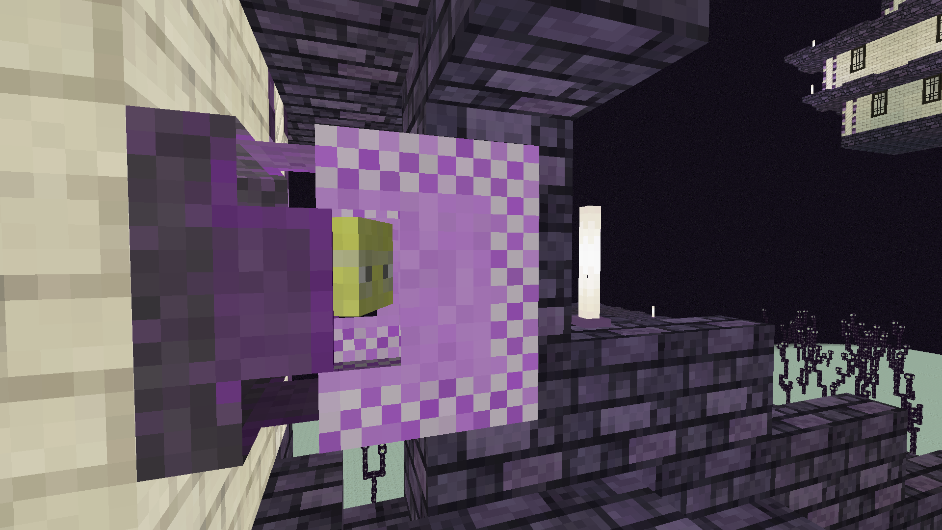Nonbinary Shulker