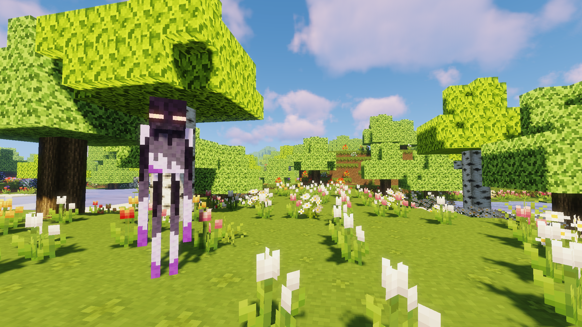 Asexual Enderman