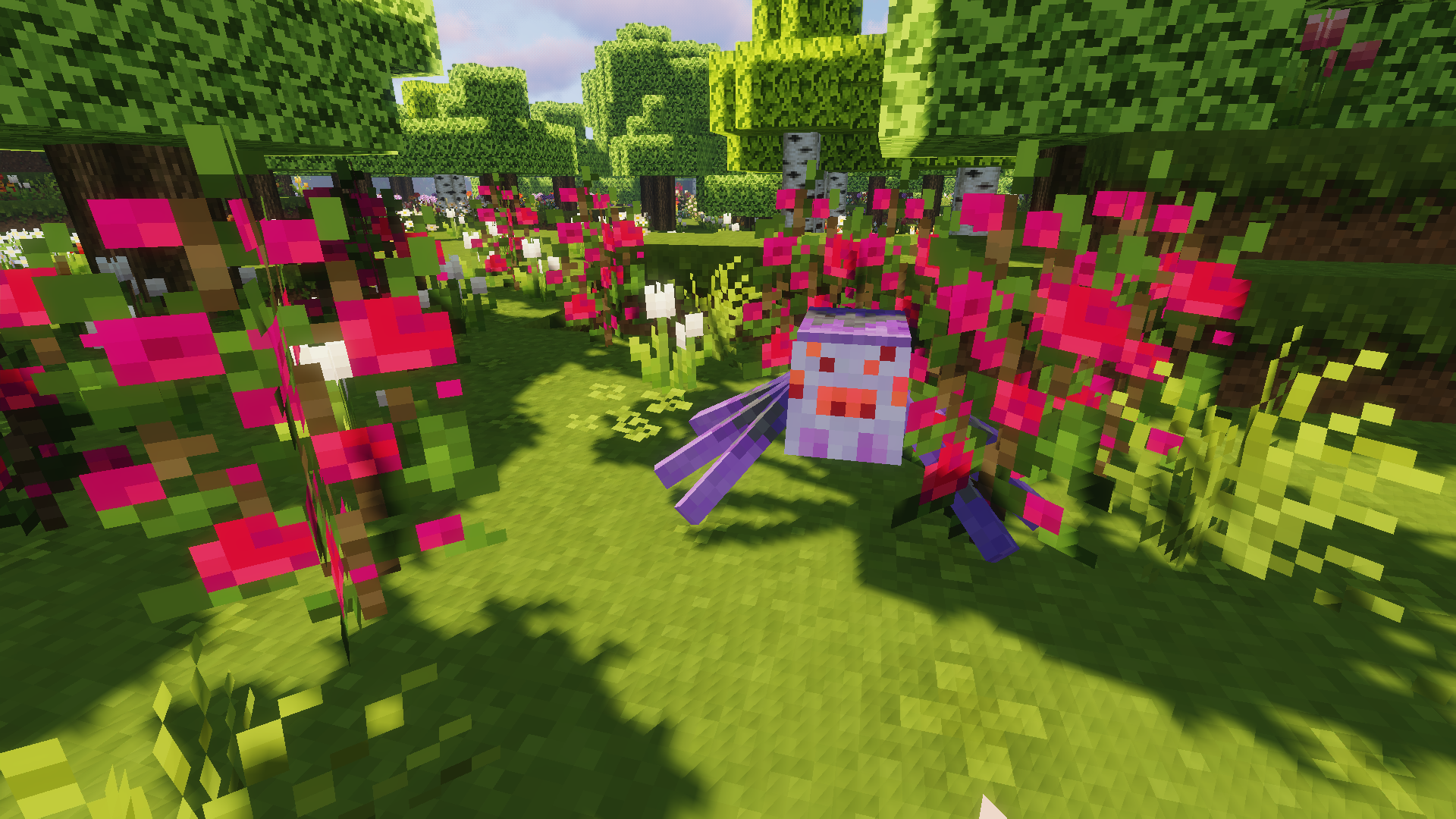 Genderfluid Spider