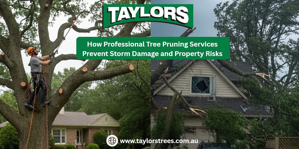 tree pruning services melbourne