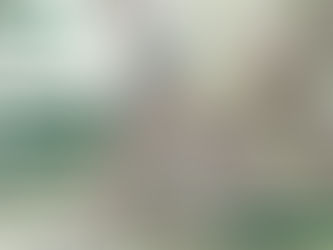 local tree pruning Services