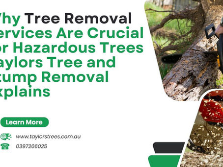 tree removal melbourne