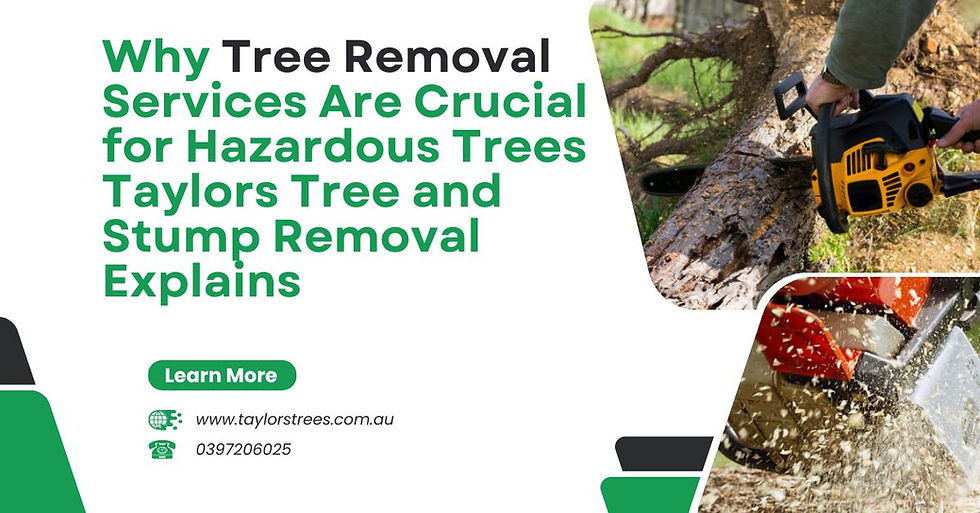 tree removal melbourne