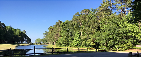 Hickory Forest Lagoon.png