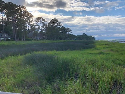 Marsh.jpg