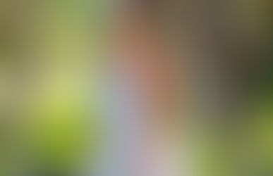 Janae Girard - Bio, Wiki, Facts, Age, Height, Weight, Body Measurements, Photos; Fitness Model