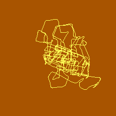 Аттрактор Готтханса-Петржелы