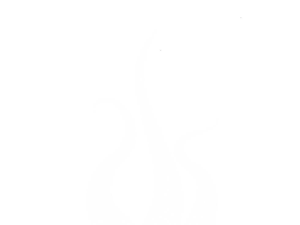 Octopus Tentacles Graphic Salt NJ