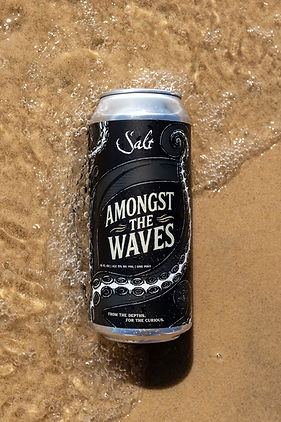 Amongst the Waves 10.9.26-10 (1).jpg