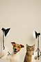 ChatGPT Image Aug 14, 2025, 06_37_26 AM.png