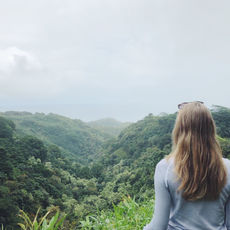 How a Health Coach Could Help You