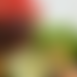 Southwest Chicken Black Bean Salad