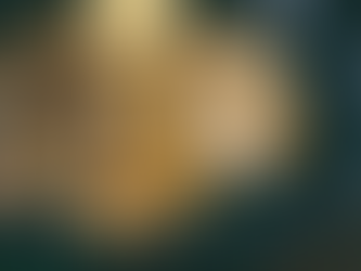 Lemony Halibut with Chickpeas