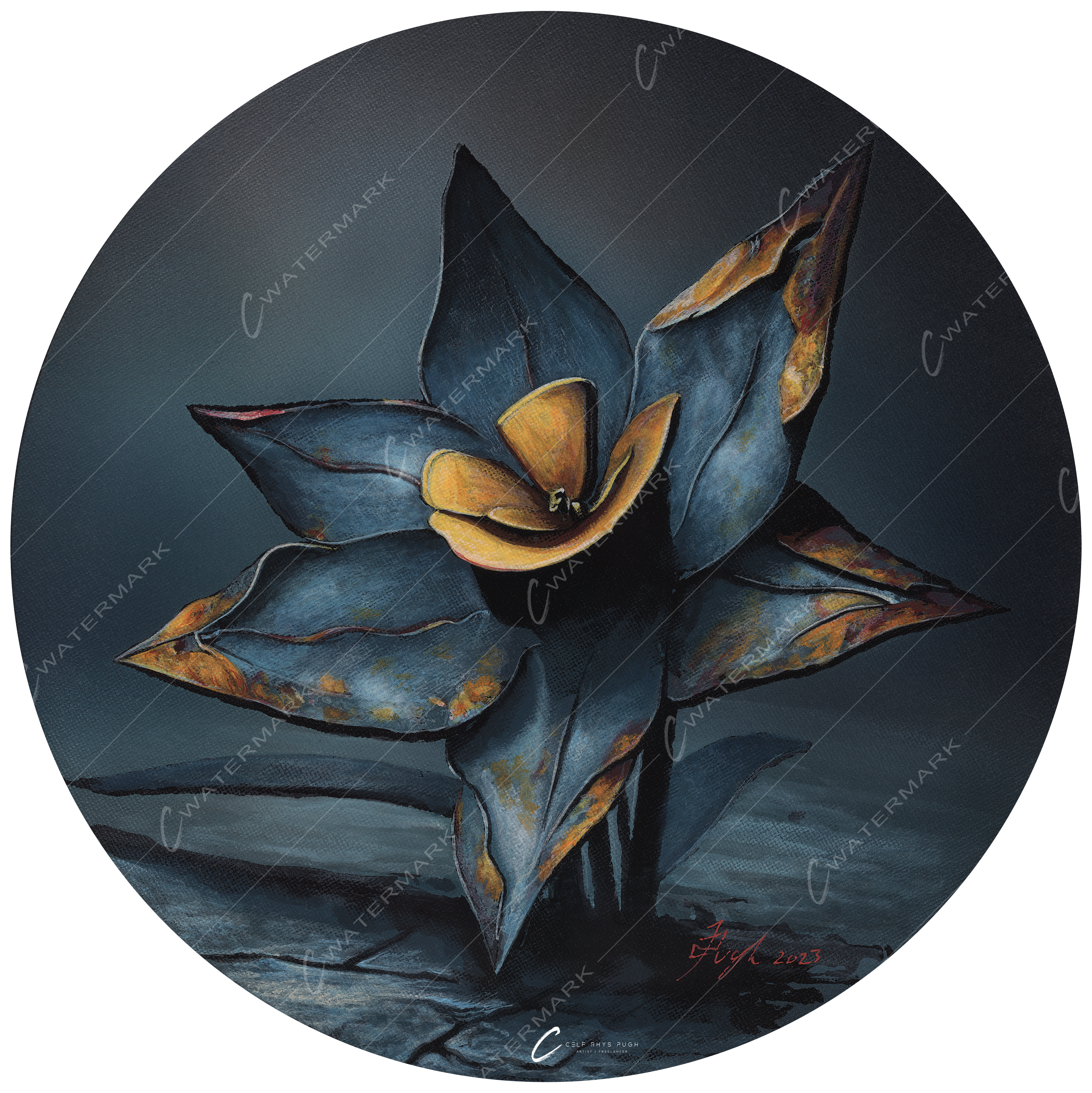 Daffodil