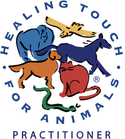 Healing touch for animals practitioner