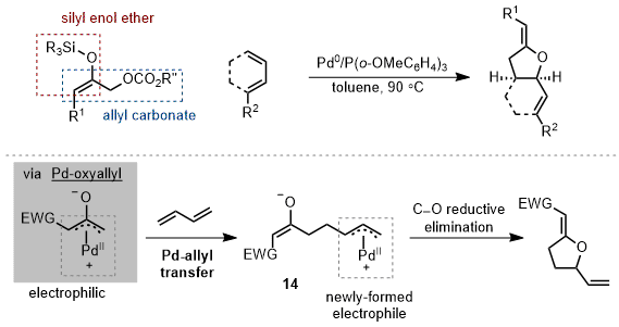 Oxyallyl TOS.gif