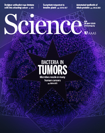 bryostatin 3.gif