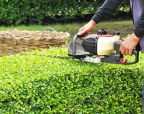ole-dads-outdoor-solutions-shrub-hedge-trimming-hero-0789281d-1920w.webp