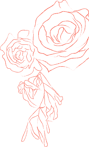 6 1.png