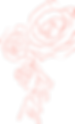 6 1.png