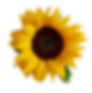 Mask group (2).png