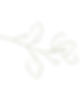 12 1 (2).png