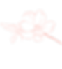 flower1 1.png