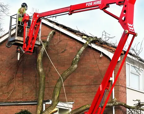 ole-dads-outdoor-solutions-hero-emergency-tree-services-02-1920w.webp