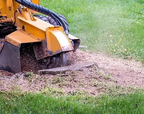 ole-dads-outdoor-solutions-hero-stump-grinding-1920w.webp