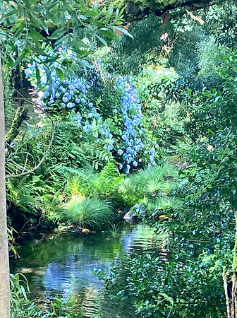 The river