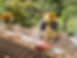 f3e32c02-77fe-42b0-addf-83a6e4546016.jpeg