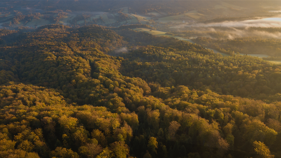Pod Horodkiem Bieszczady