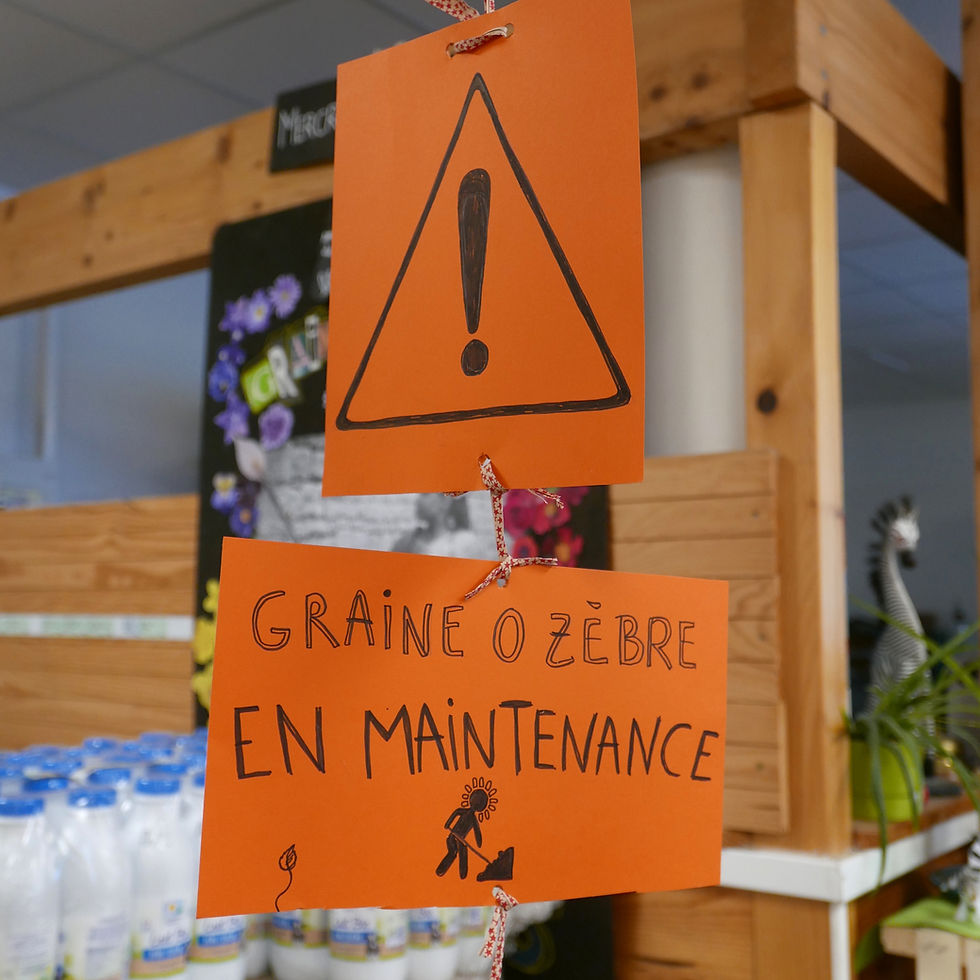 La Graine O Zèbre est en maintenance 🚧
