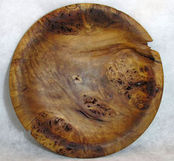 pepper tree plate 300mm