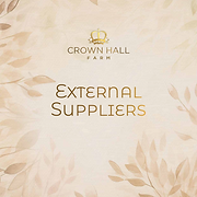 External Suppliers.png