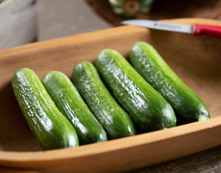 Cucumber, Picolino