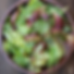 Mesclun Mix