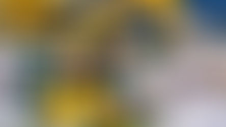 Difficult path for FCS teams looking to join the FBS